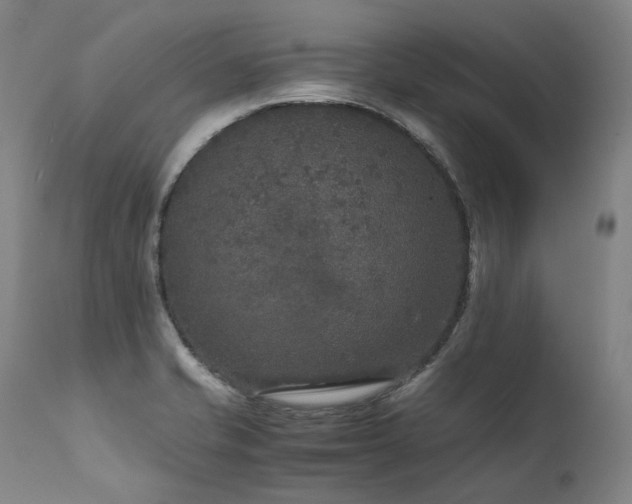 X0000111811421200907231223