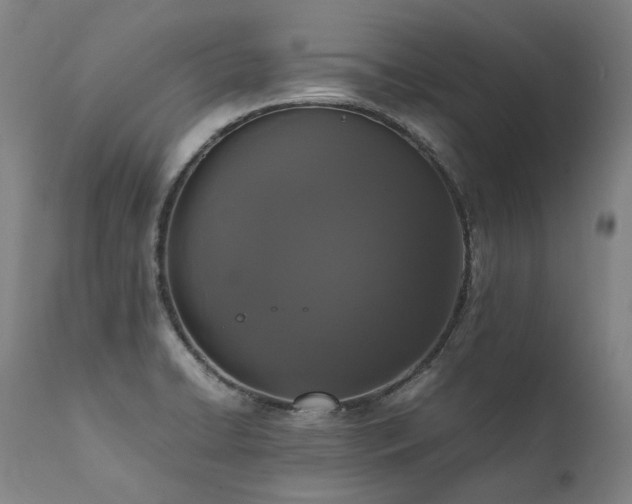 X0000111811422200907231223