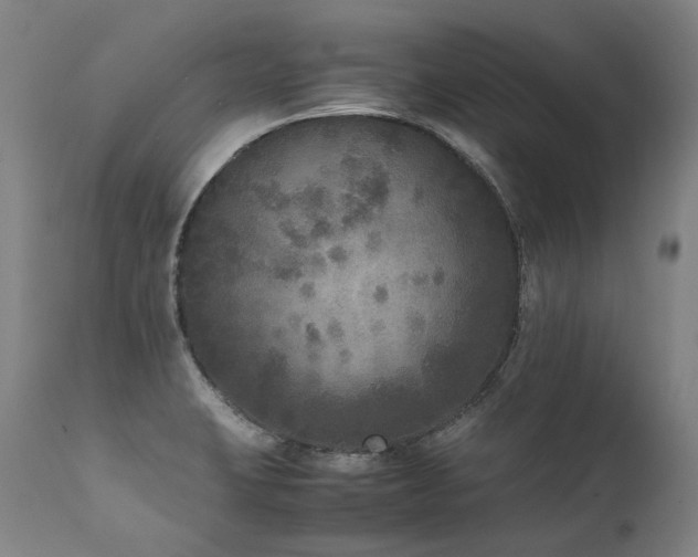 X0000111811423200907231223