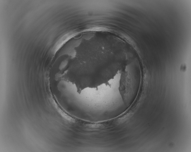 X0000111811425200907231223