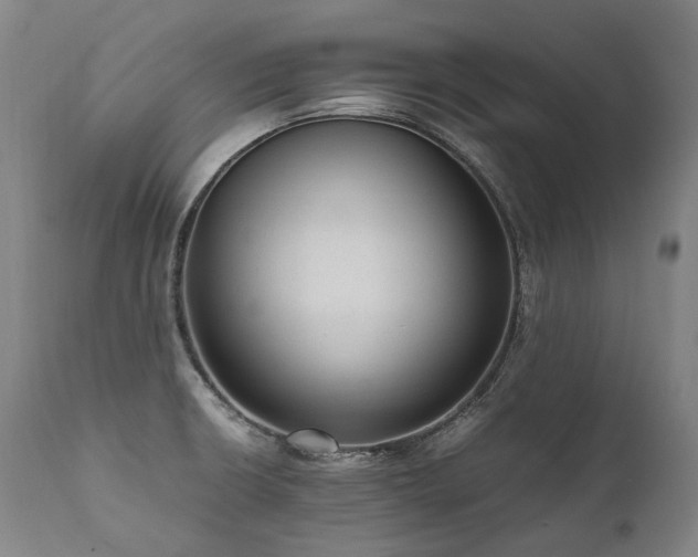X0000111811426200907231223