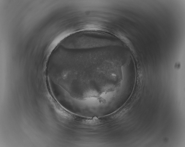 X0000111811427200907231223