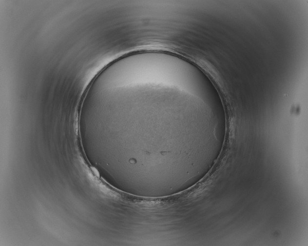 X0000111811428200907231223