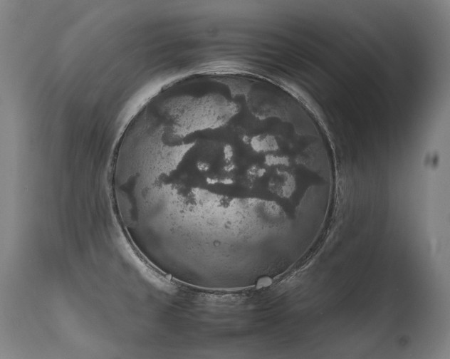 X0000111811429200907231223