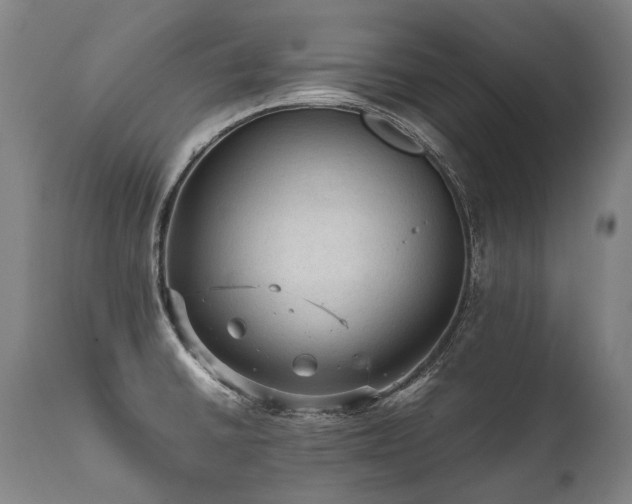 X0000111811430200907231223