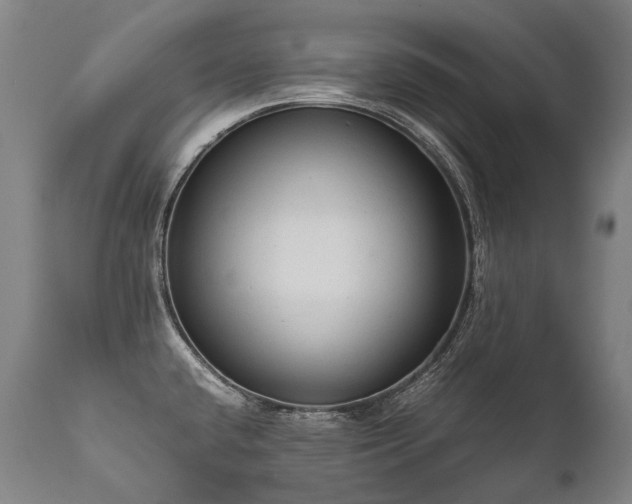 X0000111811432200907231223