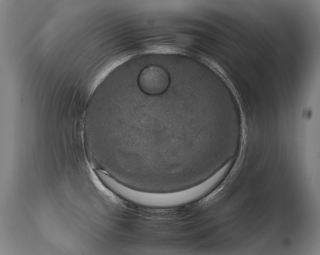 X0000111811433200907231223