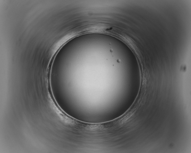 X0000111811434200907231223