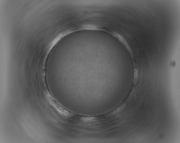 X0000111811435200907231223