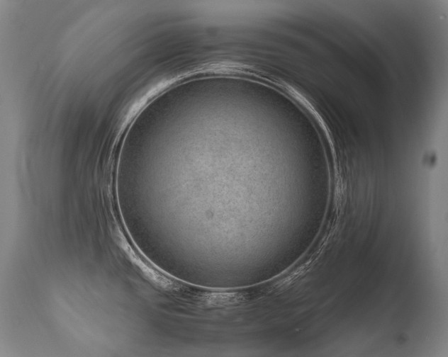 X0000111811437200907231223