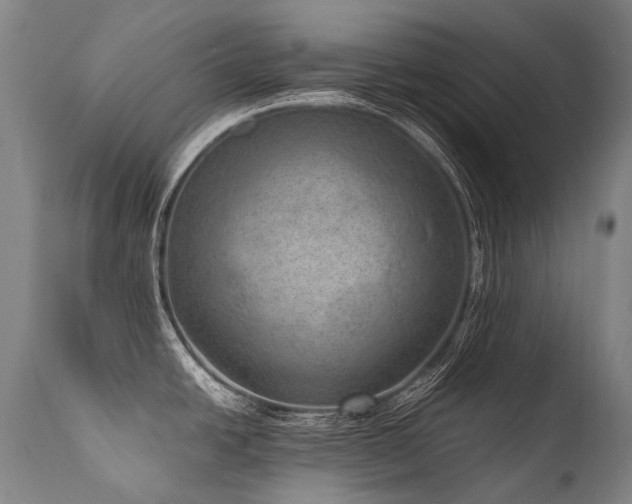 X0000111811438200907231223