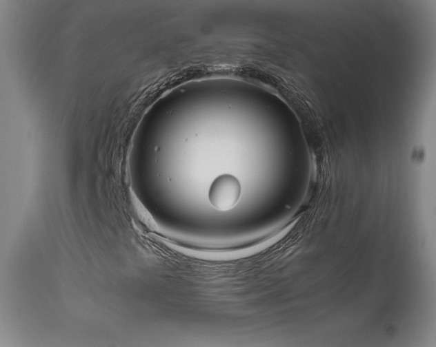 X0000111811441200907231223
