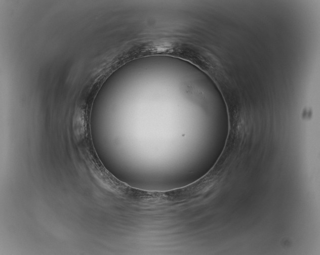 X0000111811442200907231223