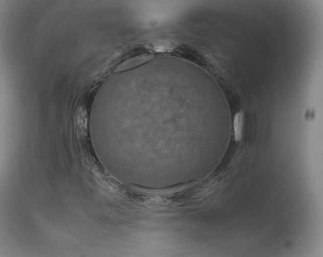 X0000111811443200907231223