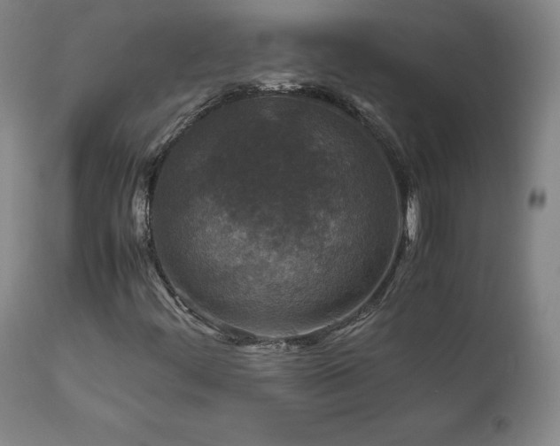 X0000111811444200907231223