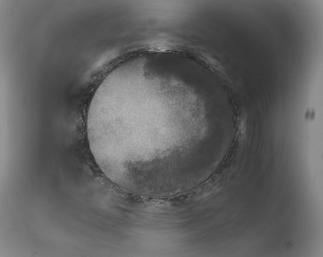 X0000111811446200907231223