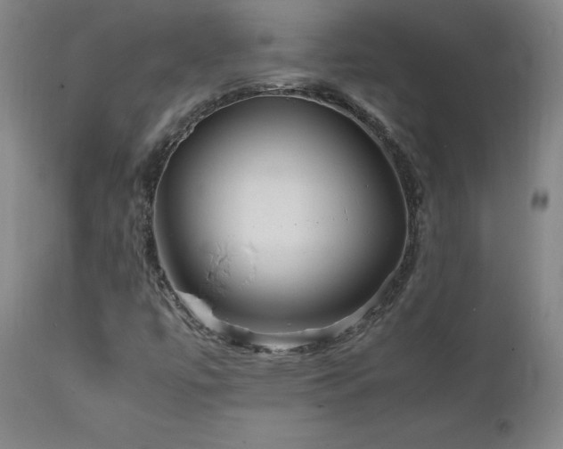 X0000111811447200907231223
