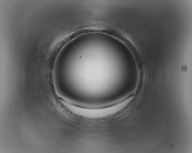 X0000111811448200907231223