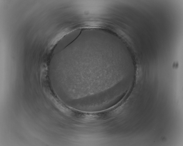 X0000111811449200907231223