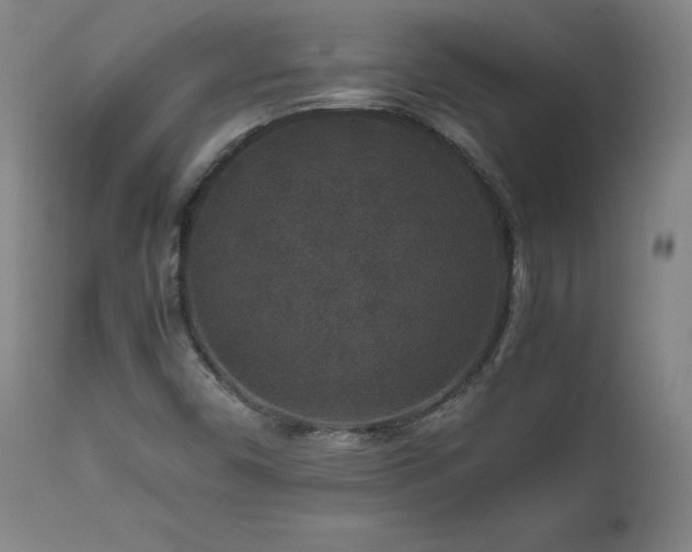 X0000111811450200907231223