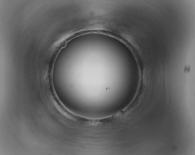 X0000111811452200907231223