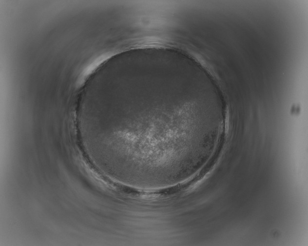 X0000111811453200907231223