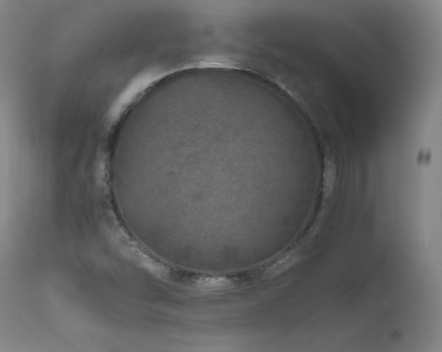 X0000111811454200907231223