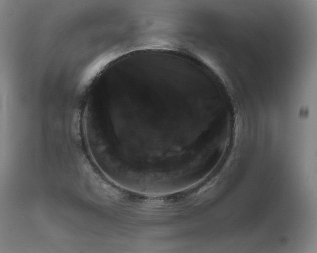 X0000111811455200907231223