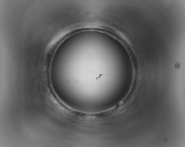 X0000111811456200907231223