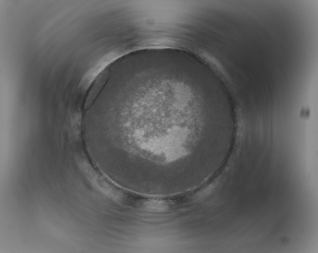X0000111811457200907231223
