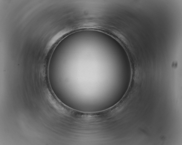 X0000111811458200907231223