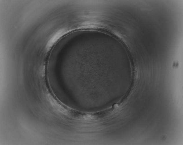 X0000111811459200907231223