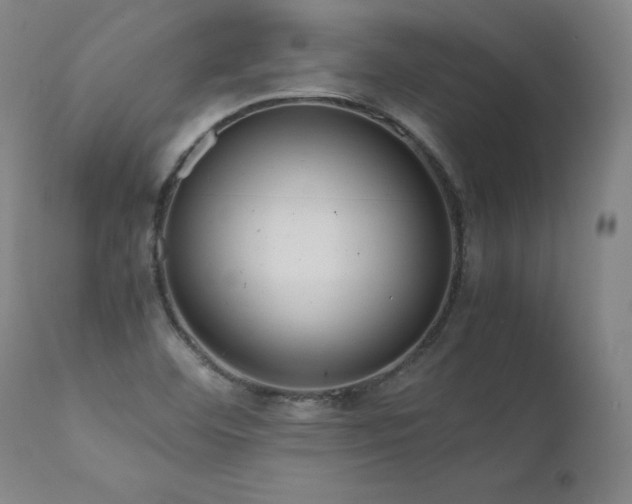 X0000111811460200907231223