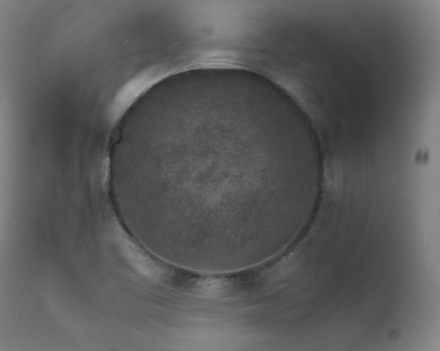 X0000111811461200907231223