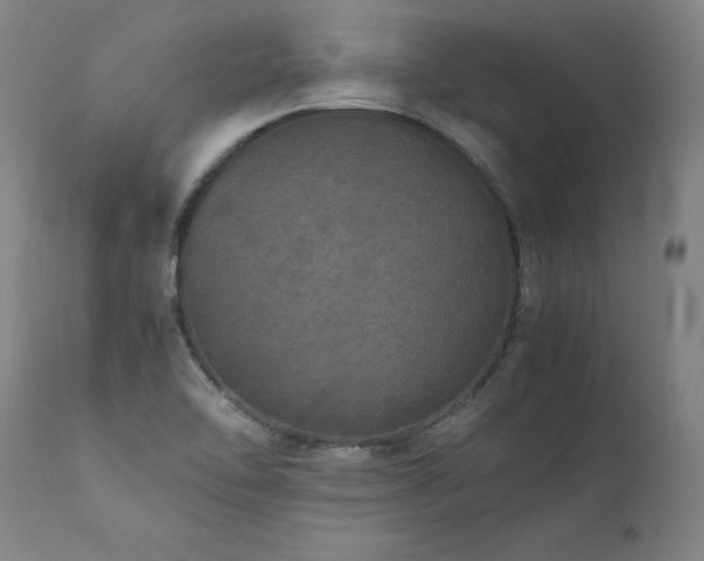 X0000111811462200907231222