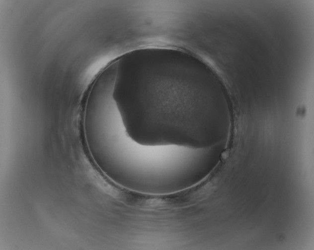 X0000111811463200907231222