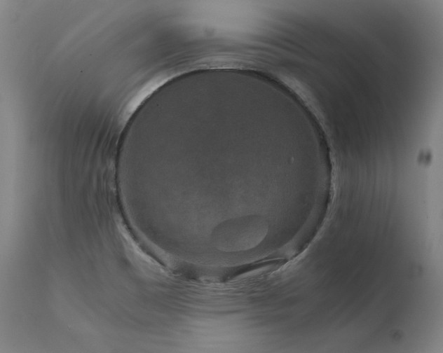X0000111811465200907231222