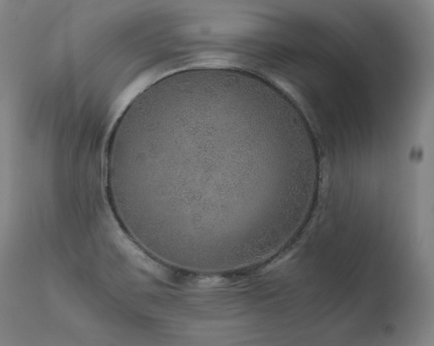 X0000111811467200907231222