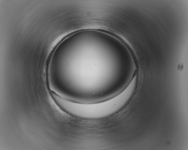X0000111811468200907231222