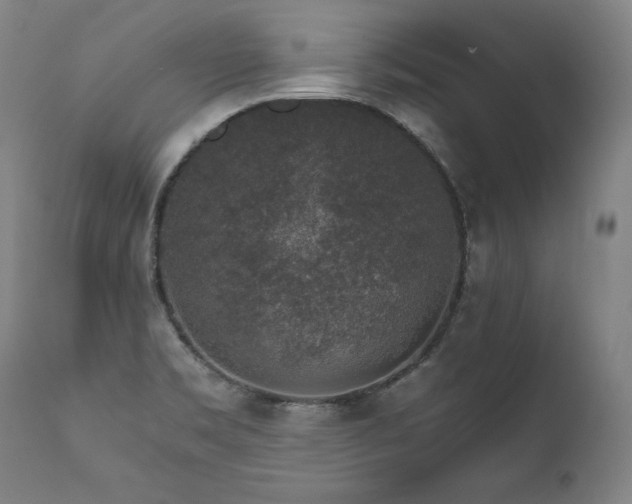 X0000111811469200907231222