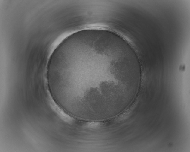 X0000111811470200907231222