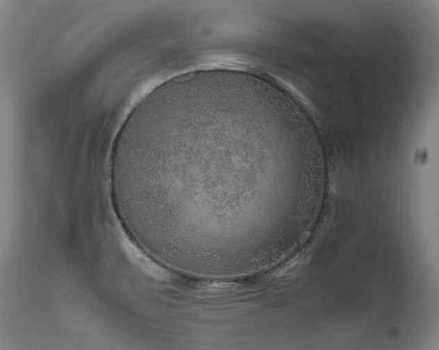 X0000111811471200907231222
