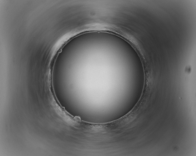 X0000111811472200907231222