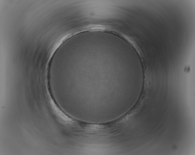 X0000111811475200907231222