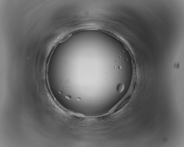 X0000111811477200907231222