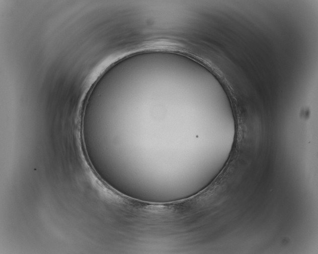 X0000111811478200907231222