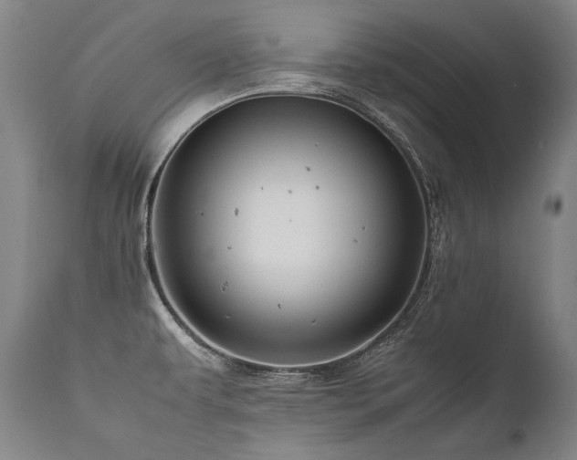 X0000111811479200907231222