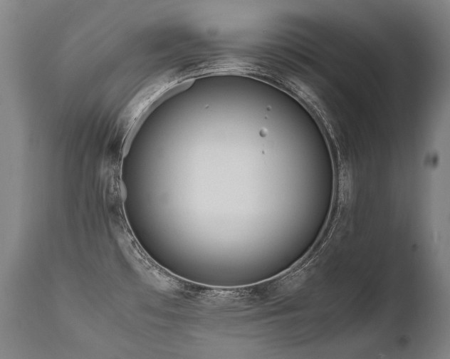 X0000111811481200907231222
