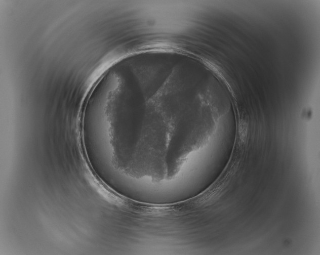 X0000111811482200907231222