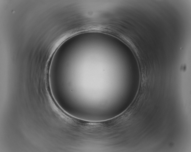 X0000111811483200907231222